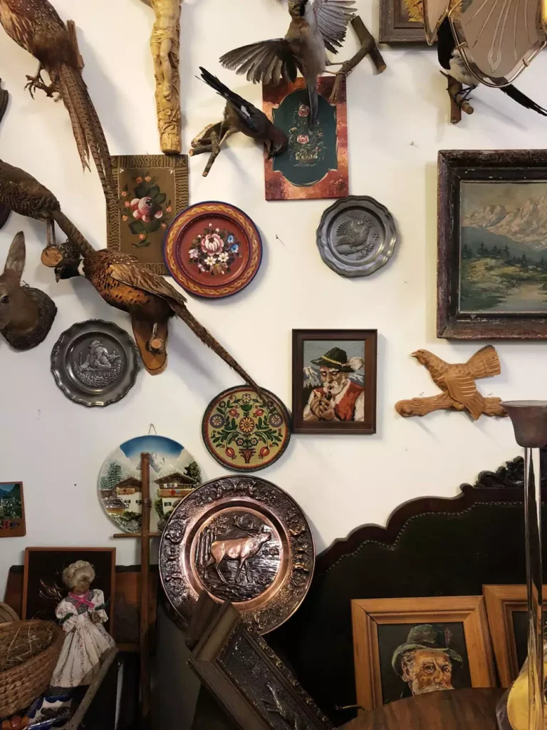 Antique plate wall decor mixed with taxidermy birds and framed art in a curio display