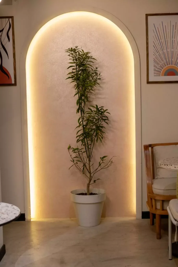 Backlit Wall Arch With A Tall Potted Plant Between Framed Art