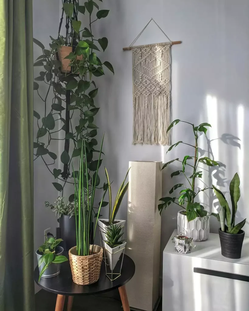 DIY corner wall decor with macrame wall hanging and curated indoor plants on black side table and white cabinet