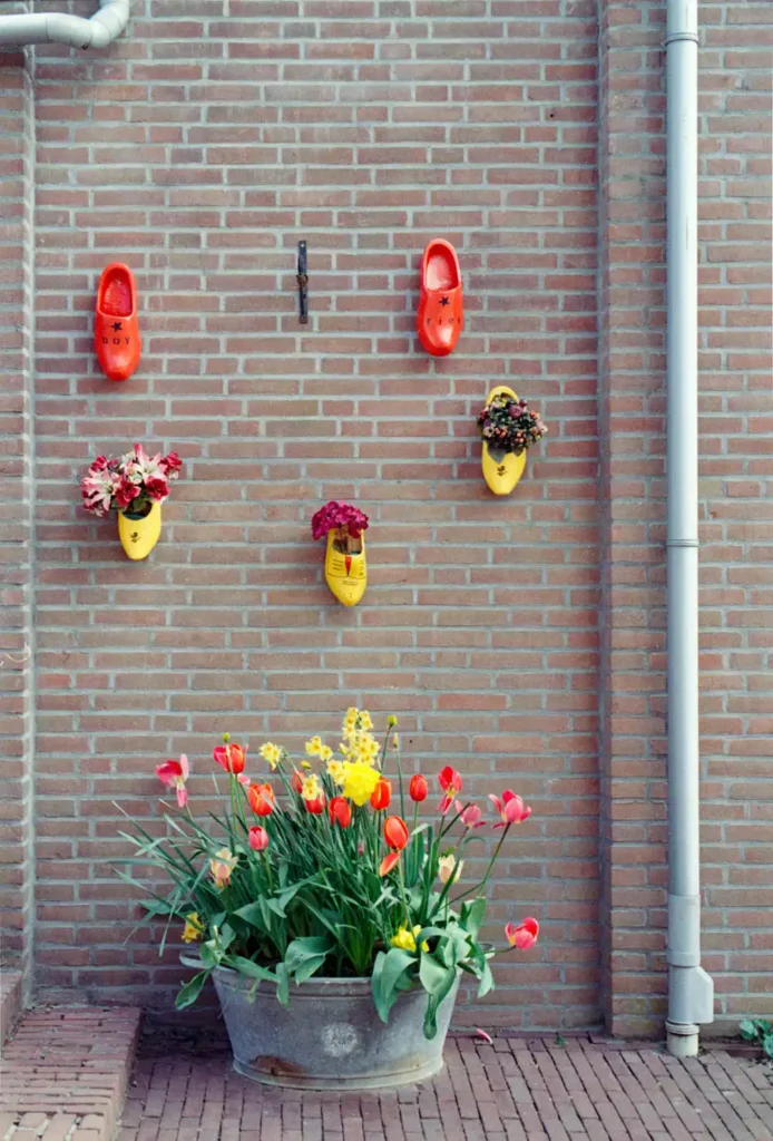 Dutch Clog Planters Mounted On An Outdoor Brick Wall Above A Tulip Pot