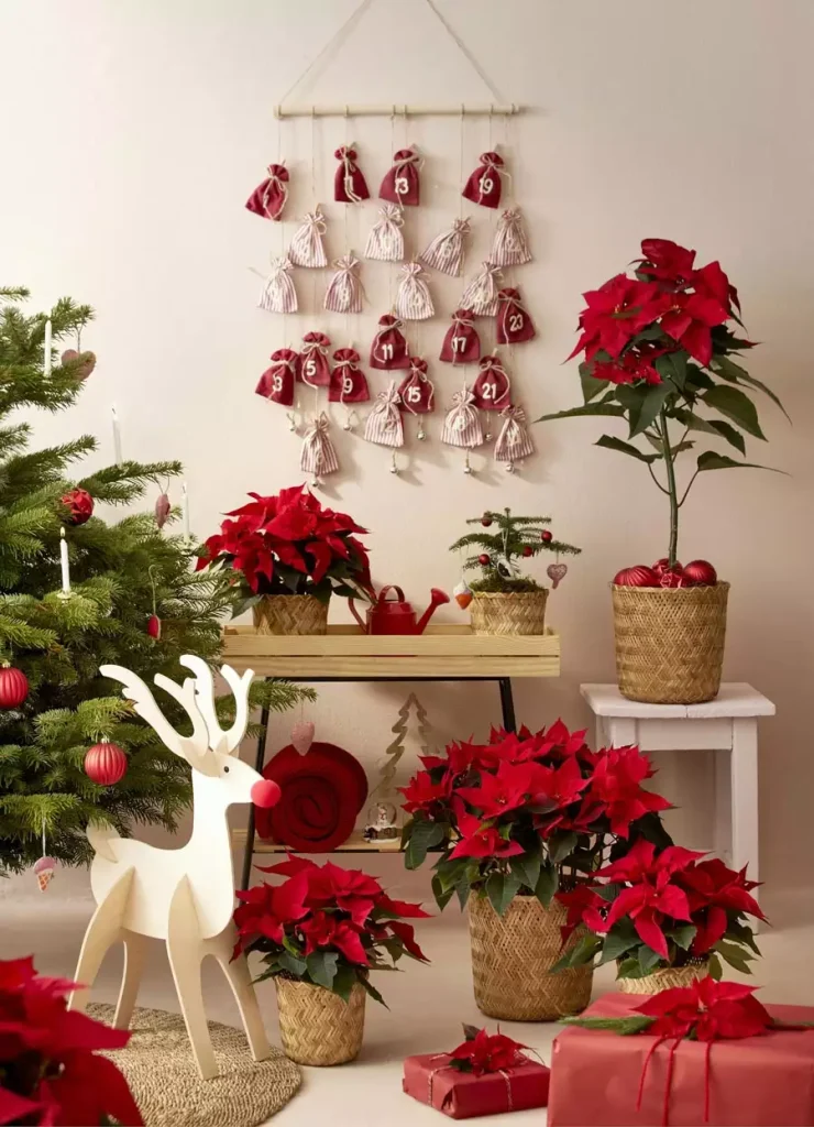 Fabric Advent Calendar Christmas Wall Hanging Above Poinsettias And A Wooden Reindeer Figure