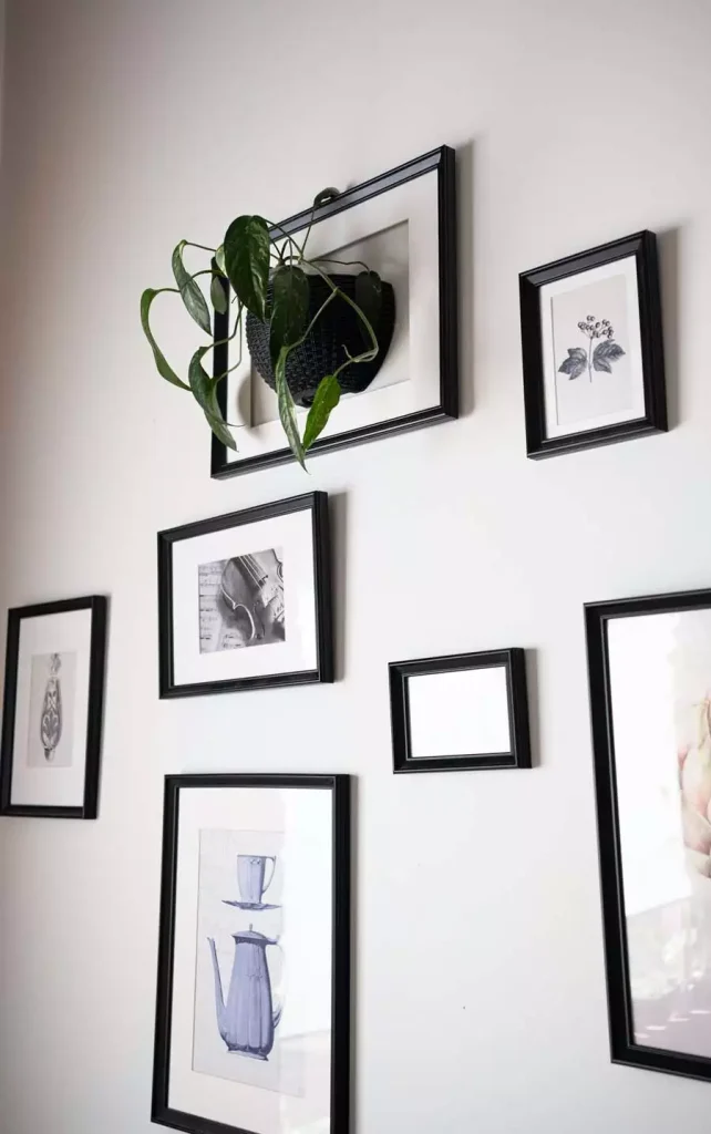Framed Botanical Wall Decor With Hanging Trailing Plant