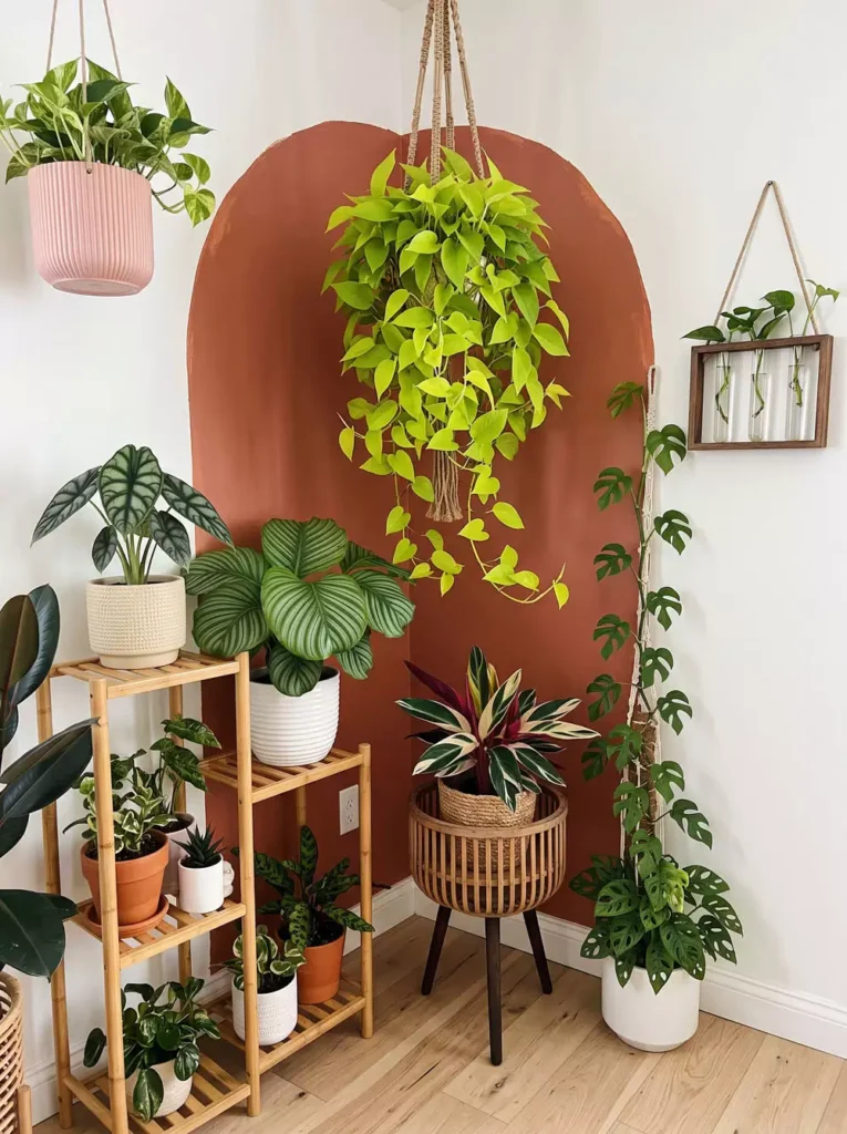 Green living room corner decor with terracotta arch monstera plants and woven basket