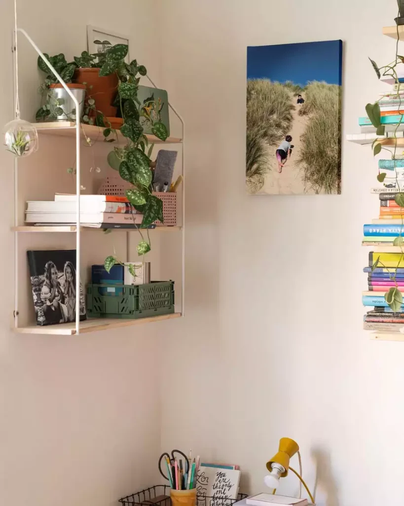 Hanging Corner Shelf With Trailing Plants And A Canvas Print Adds Simple Dorm Wall Decor