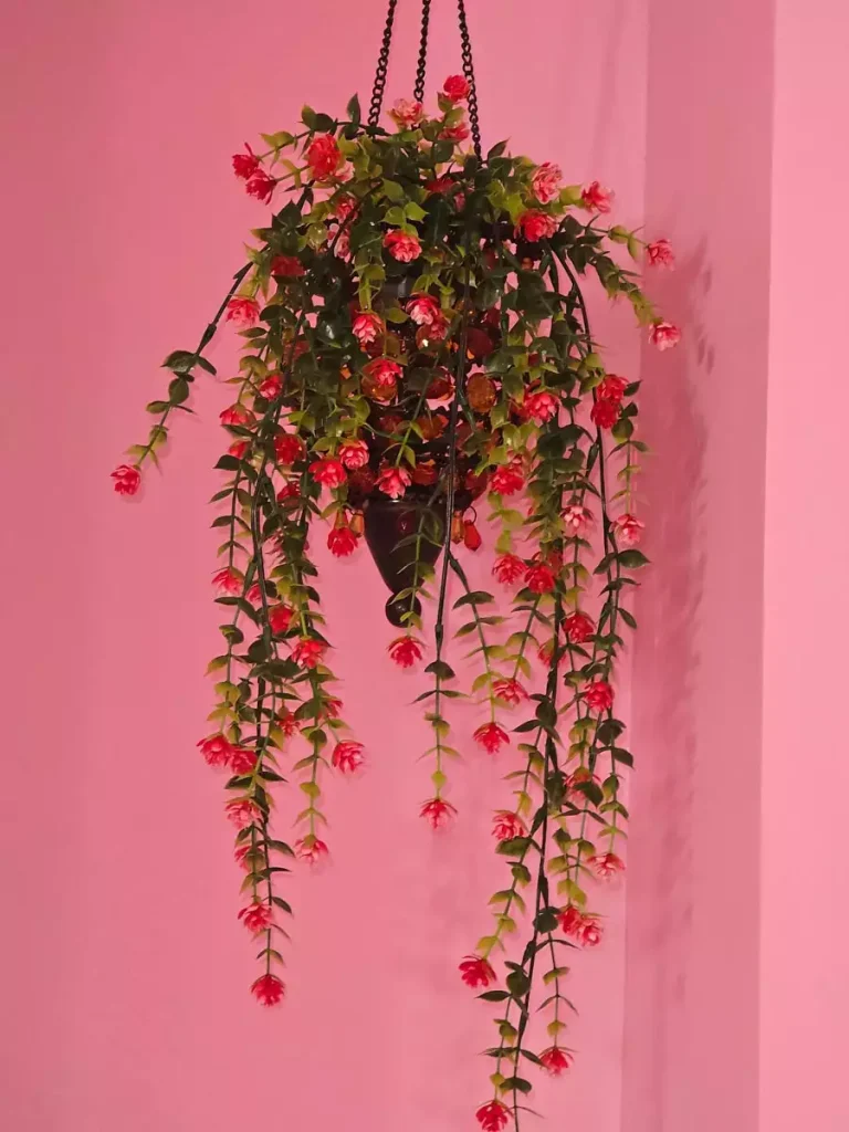 Hanging Floral Plant As Bright Pink Wall Decor