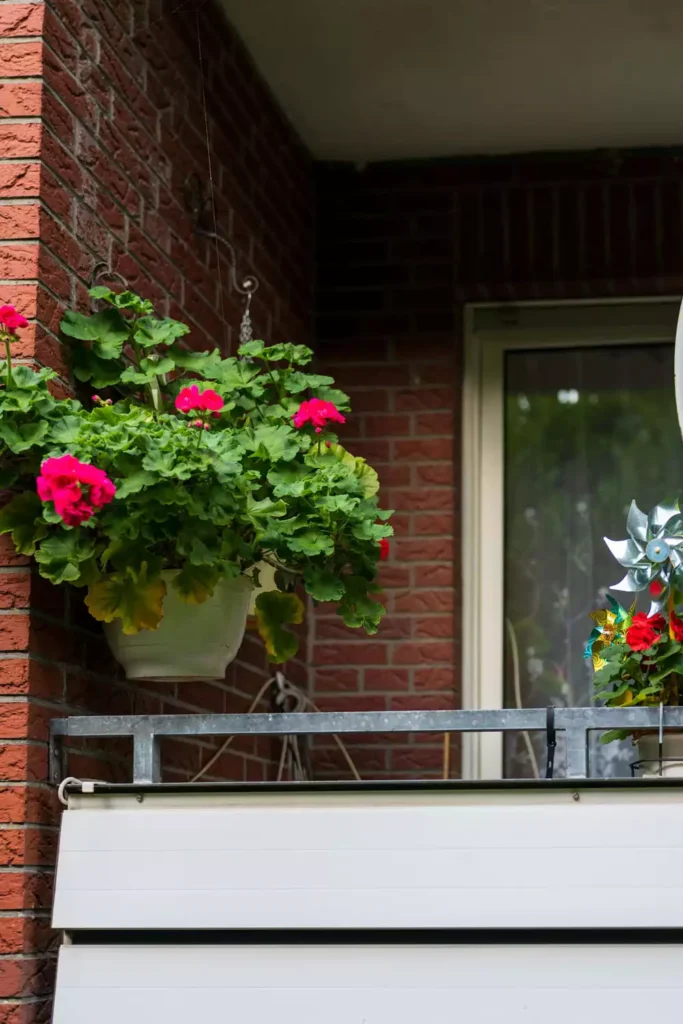 Hanging Geranium Basket On An Outdoor Brick Wall Balcony