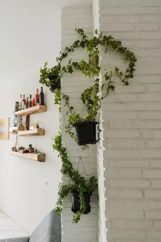 Ivy trailing from black hanging pots down a white brick column beside wood floating shelves for easy aesthetic DIY room decor