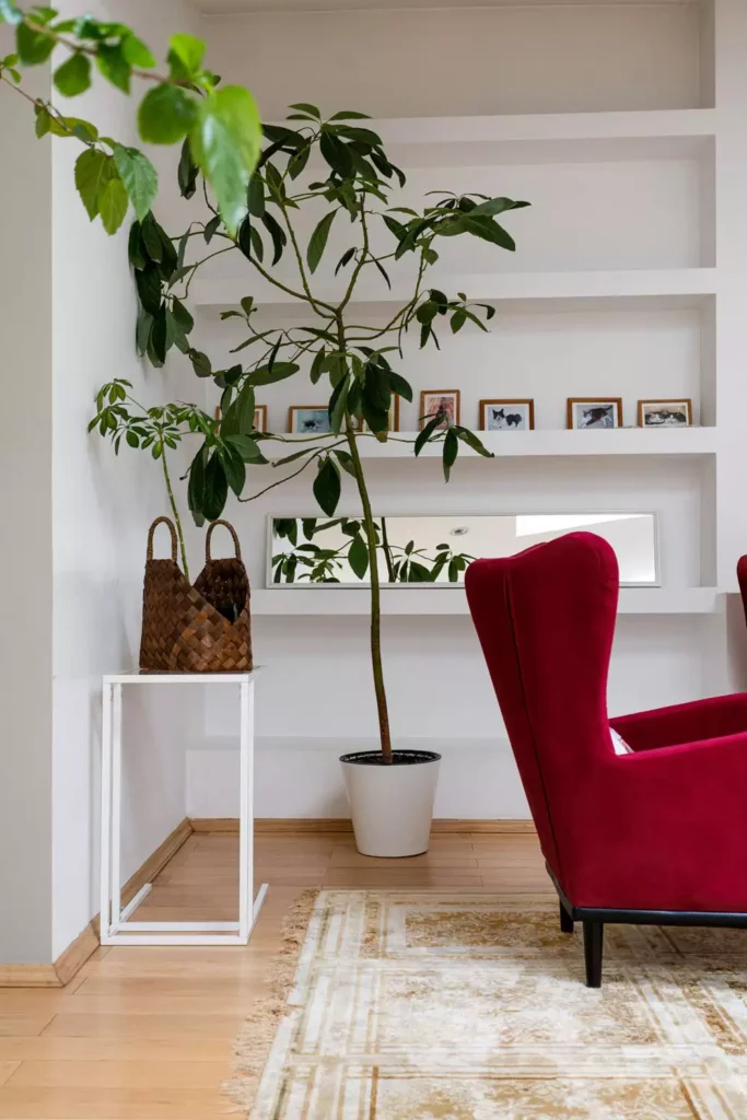 Living room interior with recessed white wall shelves, small frames, a long mirror, tall plant, and red armchair
