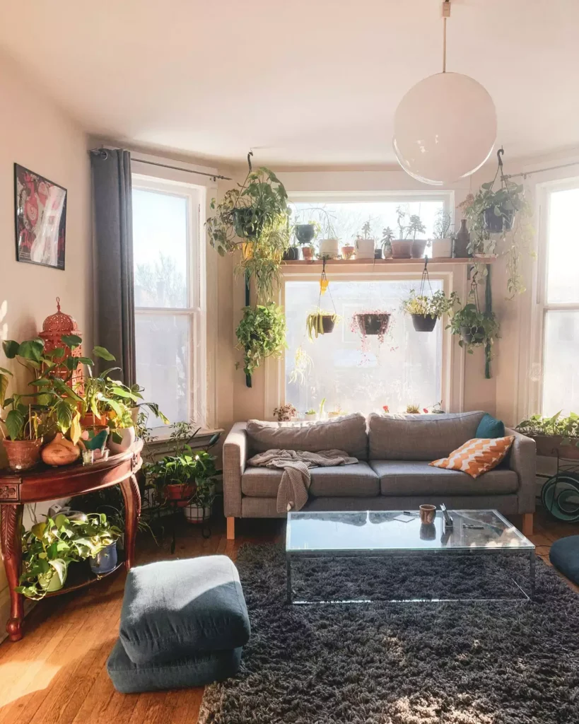 Plant-filled tan wall living room bay window with hanging greenery and a gray sofa