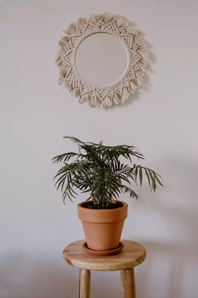 Round fringed macrame mirror above a potted palm on a wooden stool for easy aesthetic DIY room decor