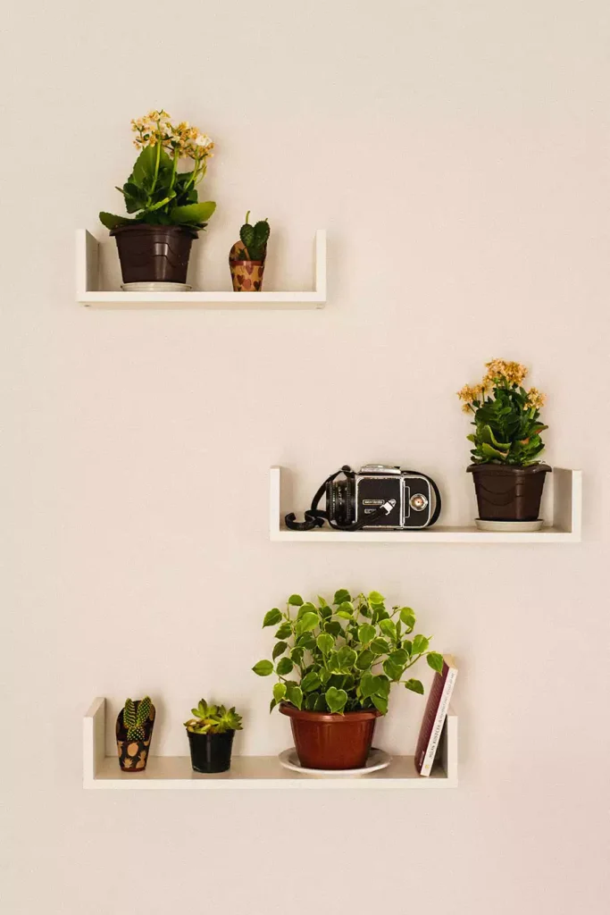 Small White Wall Shelf Decor Holding An Array Of Potted Plants