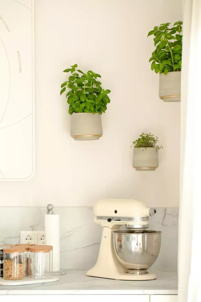 Wall Mounted Herb Pots Above A Cream Stand Mixer Bring Fresh Decor To Your Kitchen Wall