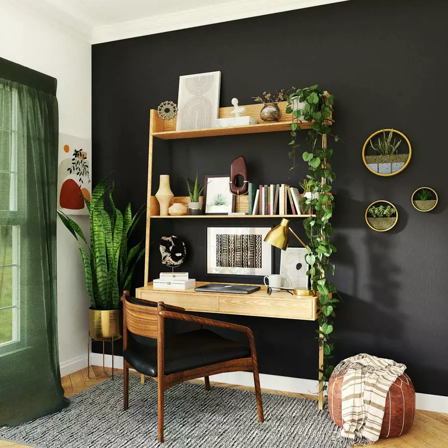 Black Study Wall With Wooden Desk Shelving Trailing Plants And Three Round Wall Planters