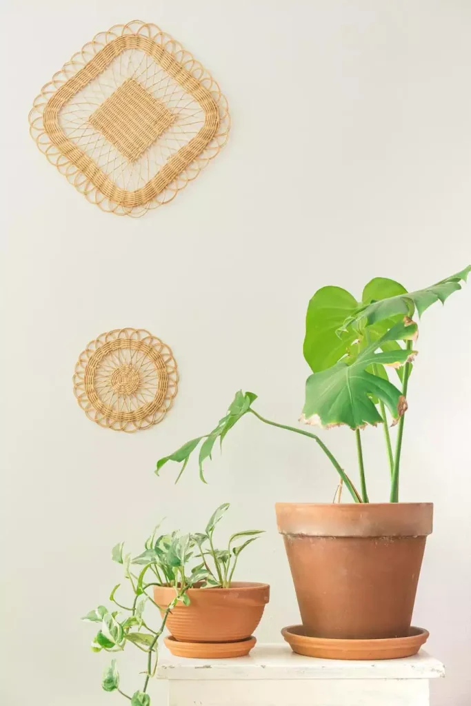 Diamond and round cane wall decor with terracotta plants