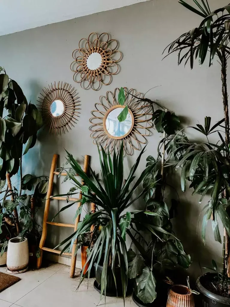 Rattan wall mirrors with wooden ladder and lush plants