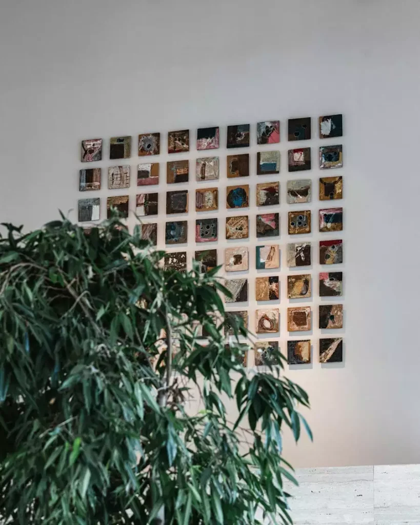 Small square photographs form a tightly spaced grid on a white wall, partly obscured by a large leafy indoor plant