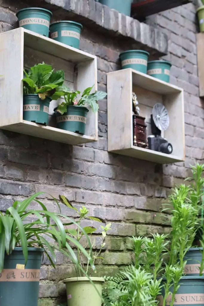 Wooden box shelves on a weathered brick wall display green plant pots and vintage-style ornaments above more potted plants